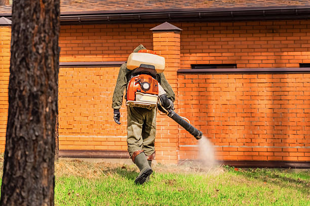 Bed Bug Clearance Verification and Documentation in Galva